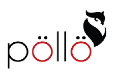 pollo cctv logo